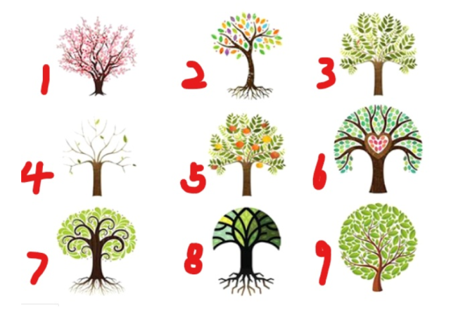 心理测试:选择一棵树,看看你的人格特质是什么