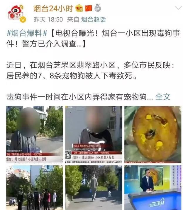 毒狗事件频繁发生,狗狗中毒了该怎么做?