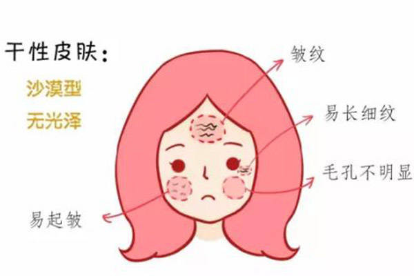 最终引起干燥,起皮的现象
