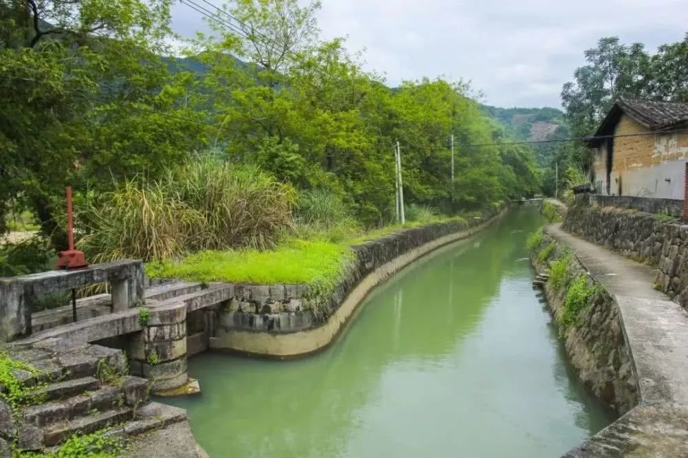 茜洋村人口_水茜镇安寨村图片(2)