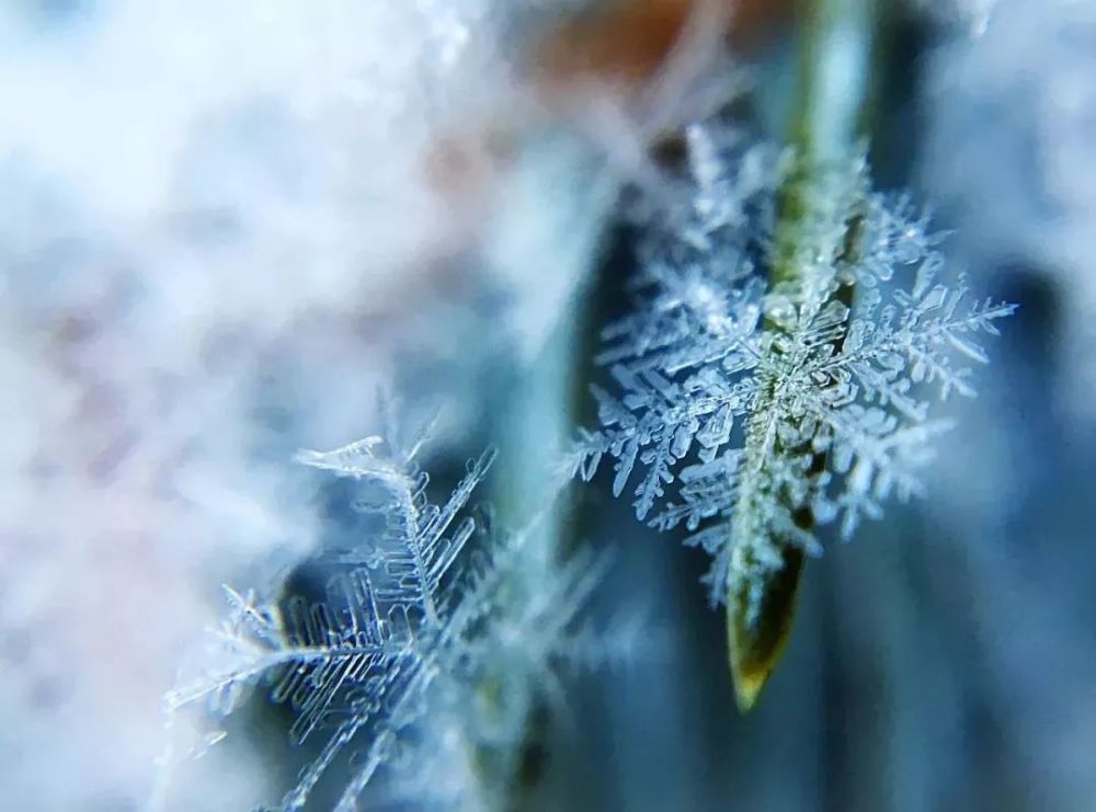 最美的雪花飘落吉林