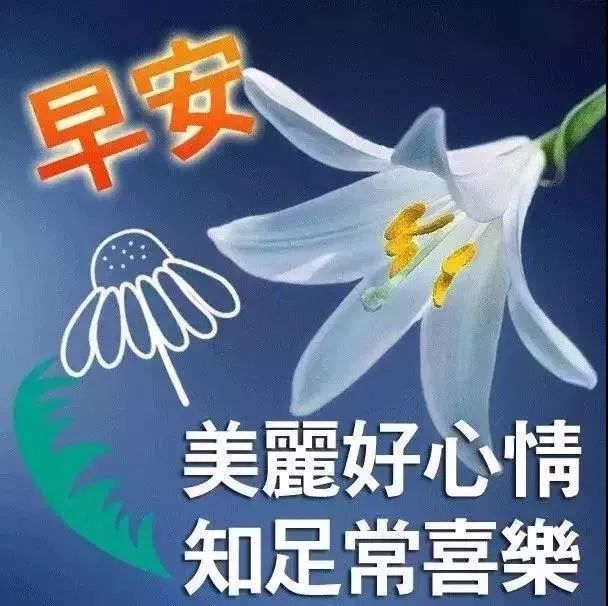 2021早上好祝福语表情表情图片微信早上好暖心语录祝福图片大全