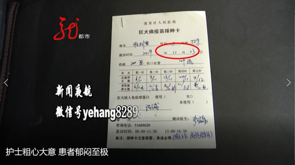 哈尔滨女子被狗咬,护士没给打狂犬疫苗,给扔了