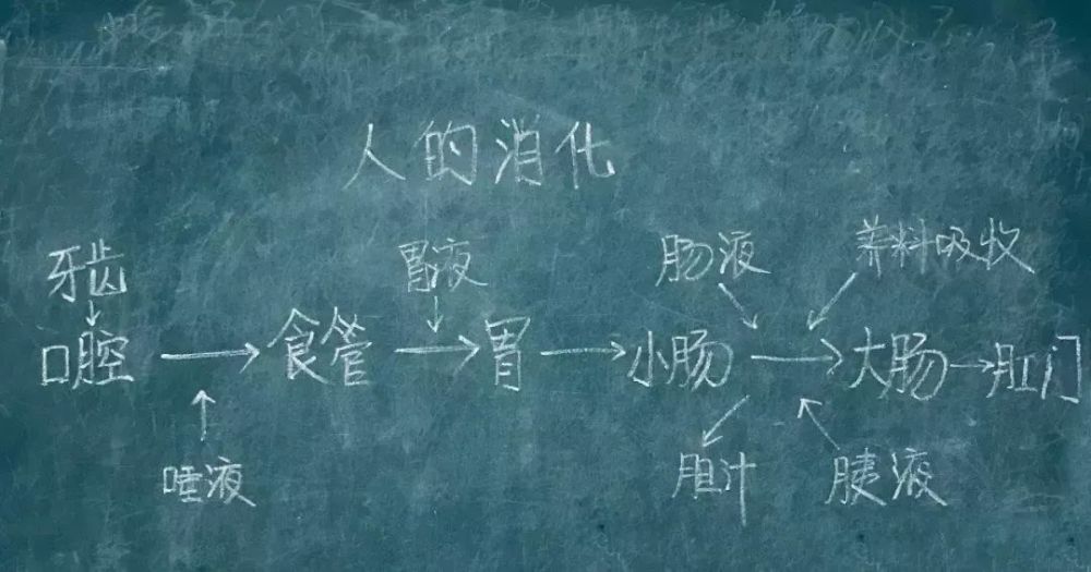 表格解释法式板书:一般用于知识性强并可以明显进行分类的内容.