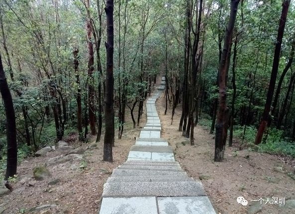 洪田火山郊野公园