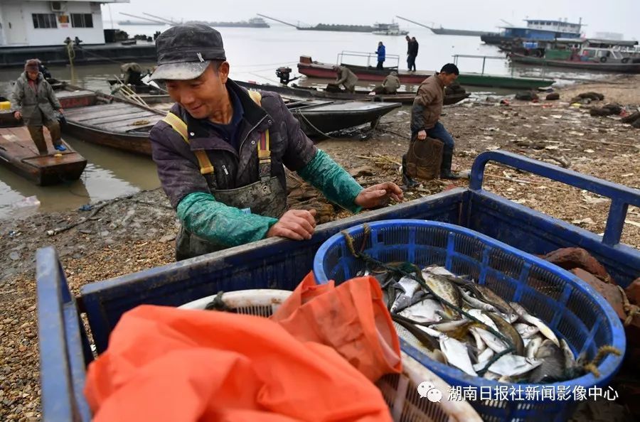 重磅!洞庭湖全面退捕禁渔