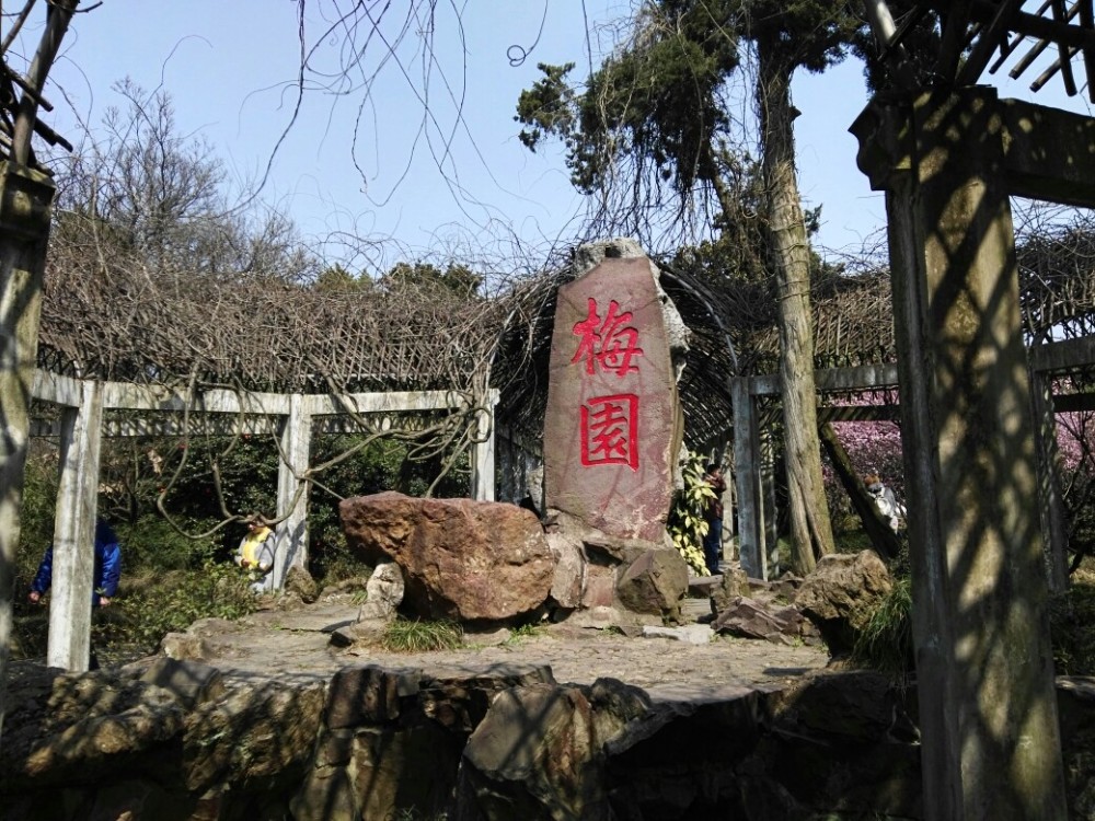 梅园位于无锡西郊的东山和浒山南坡,是江南著名的赏梅胜地之一.