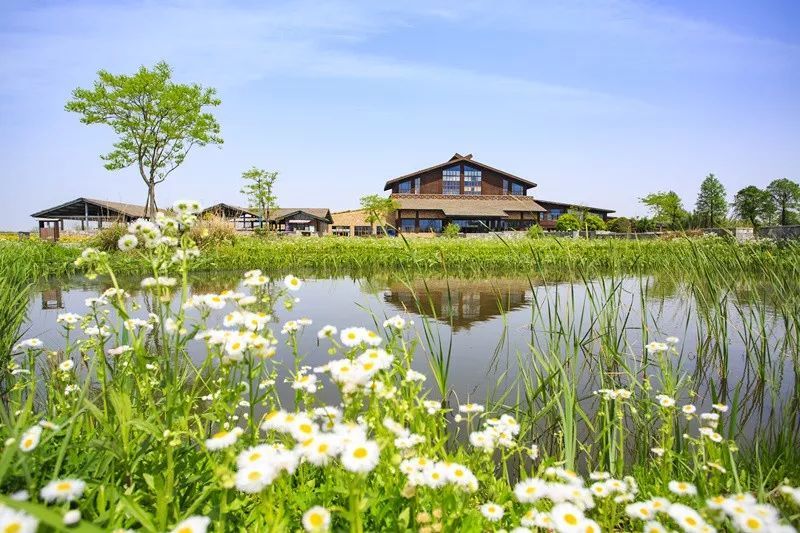 杭州湾国家湿地公园