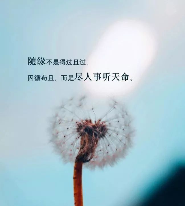 2020精辟到毒死人的短句
