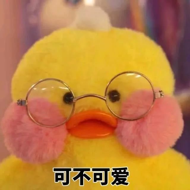 参赛者:今天也要快乐鸭 家乡:海南乐东 "黄流老鸭" 说起我们乐东的