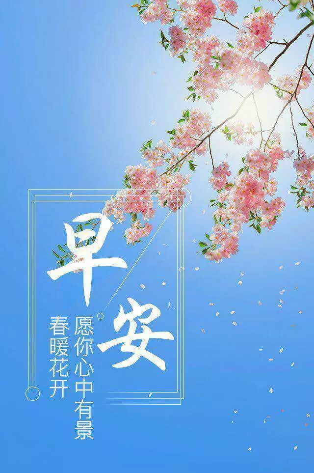 2020新款早安分享,2020新款早安图片 2020年第43期:早安朋友圈,经典美文正能量分享句子