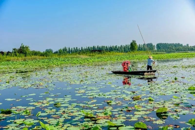 丰县大沙河湿地公园正式成为"国家湿地公园"