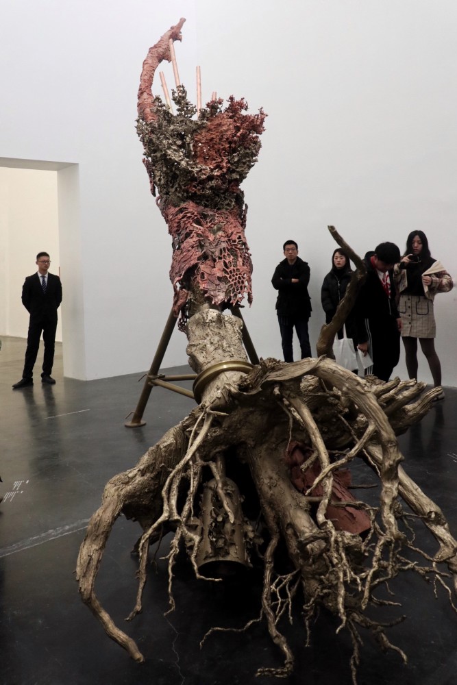 逛展体验官丨看马修·巴尼《堡垒:艺术作品一定是艺术家和观众一同