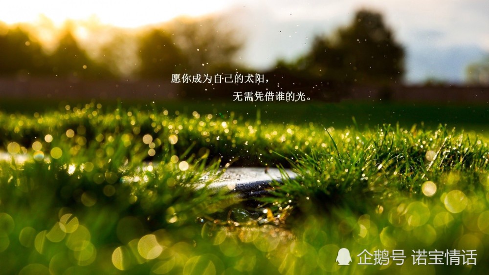 2020——不念过往,不畏将来!