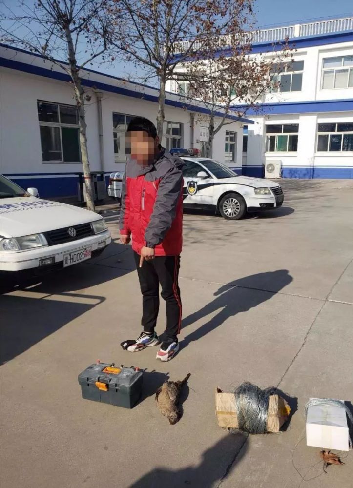 东长远人口_人口普查(2)