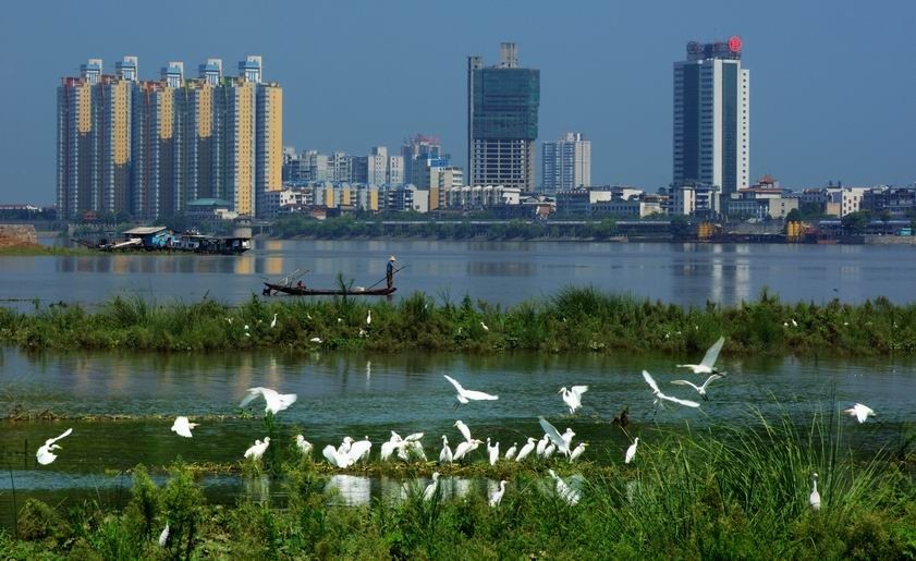 常德2019前三季度经济总量_常德经济图