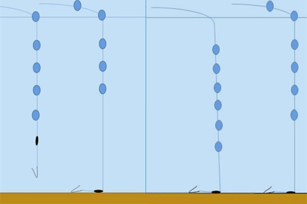 图解七星漂的调漂方法,冬钓鲫鱼,长竿短线七星漂是利器!