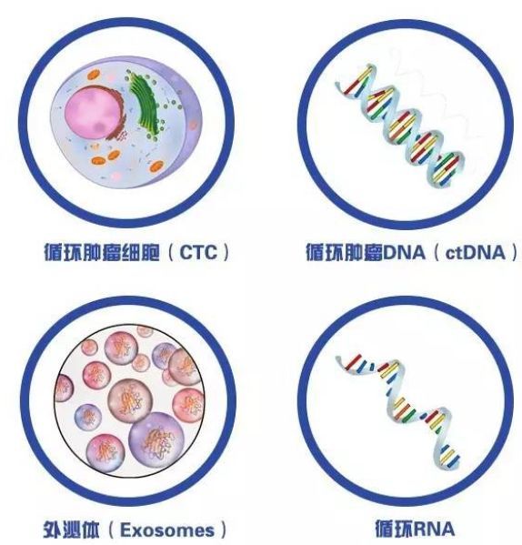 特异标志物 图源网络