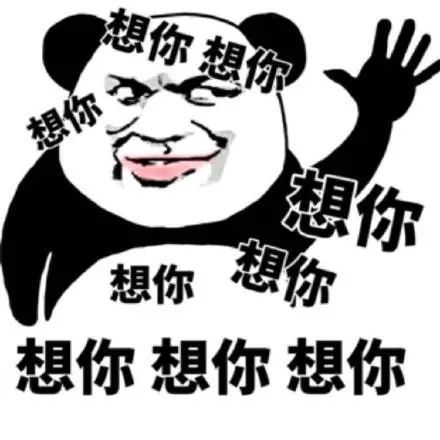 猪猪想你了表情包合集