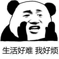 写事故分析,调查报告的你