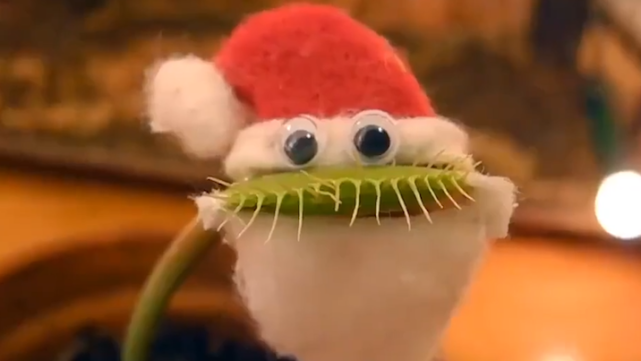 641