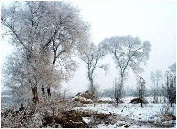 国风·邶风·北风 先秦 佚名 北风其凉,雨雪其雱.