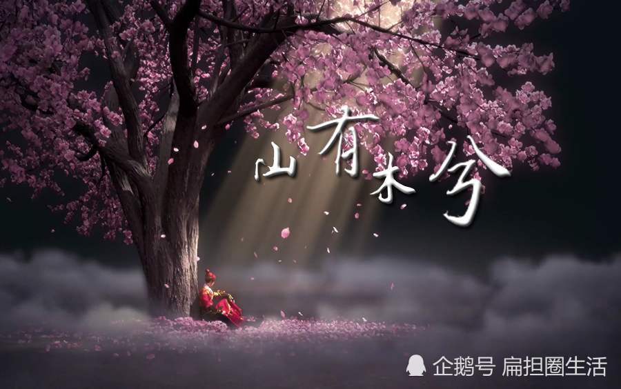 山有木兮木有枝,心悦君兮君不知:《越人歌》里表达的