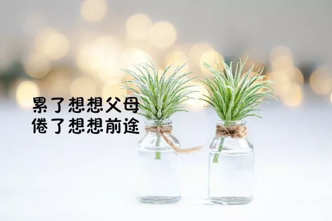 想要的东西,尽量自己努力去得到.别人给你的,终究带着利息的.
