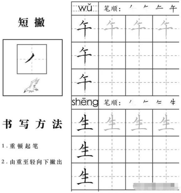 硬笔书法入门,你一定要知道的几个知识点