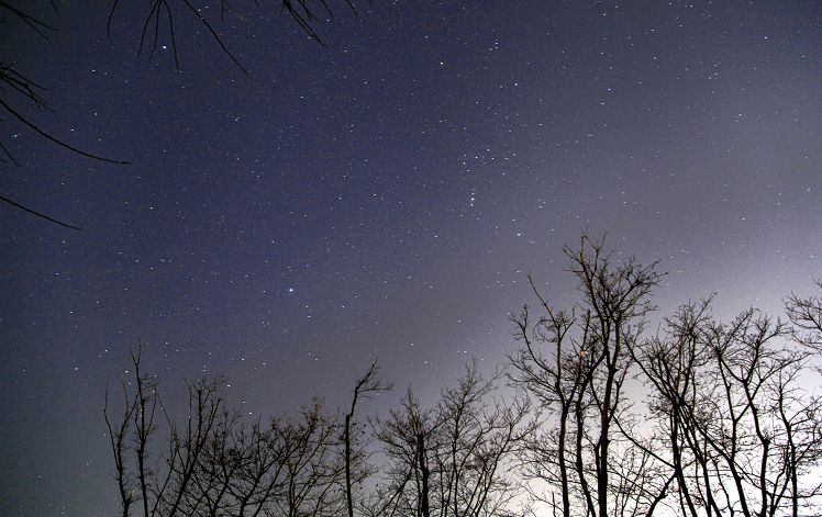 这唯美的冬夜星空