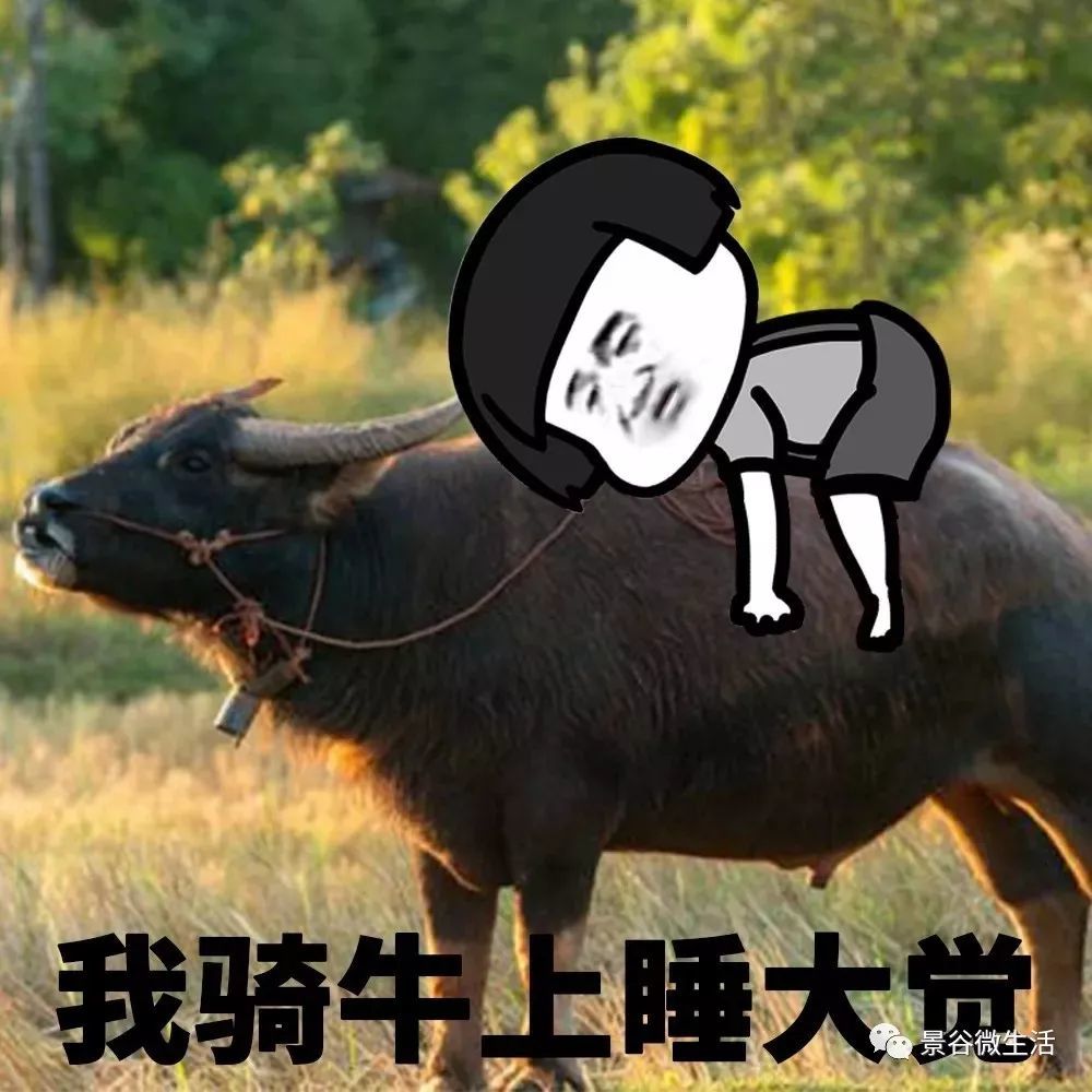 好想去放牛,牛吃草,我睡觉…… 自动播放  进入广告 广告被拦截插件