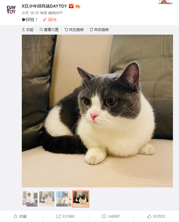 猫弄mono肖战办公室,猫弄mono蔡徐坤×你 肖战没回家?"女儿"坚果亲自探班送毛裤,一对比显得肖战更瘦了