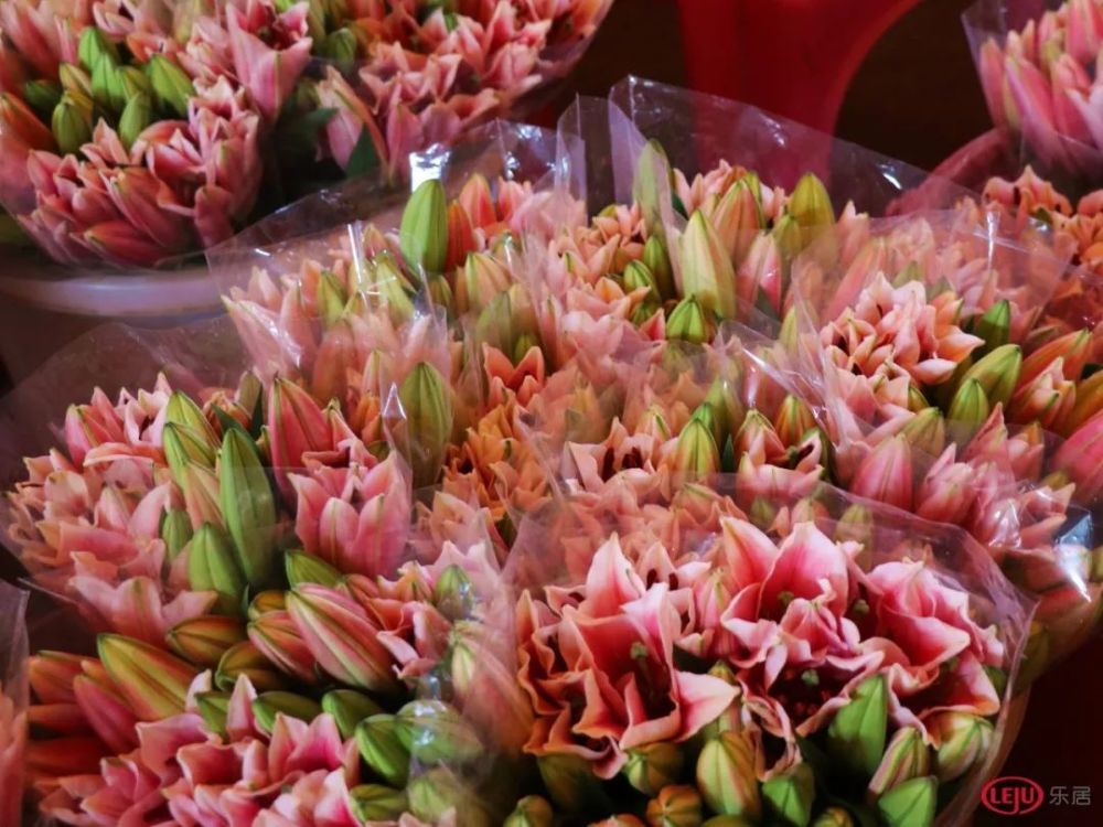 目前,广州现有花卉市场十余个,包括 岭南花卉市场,广州花鸟鱼虫批发