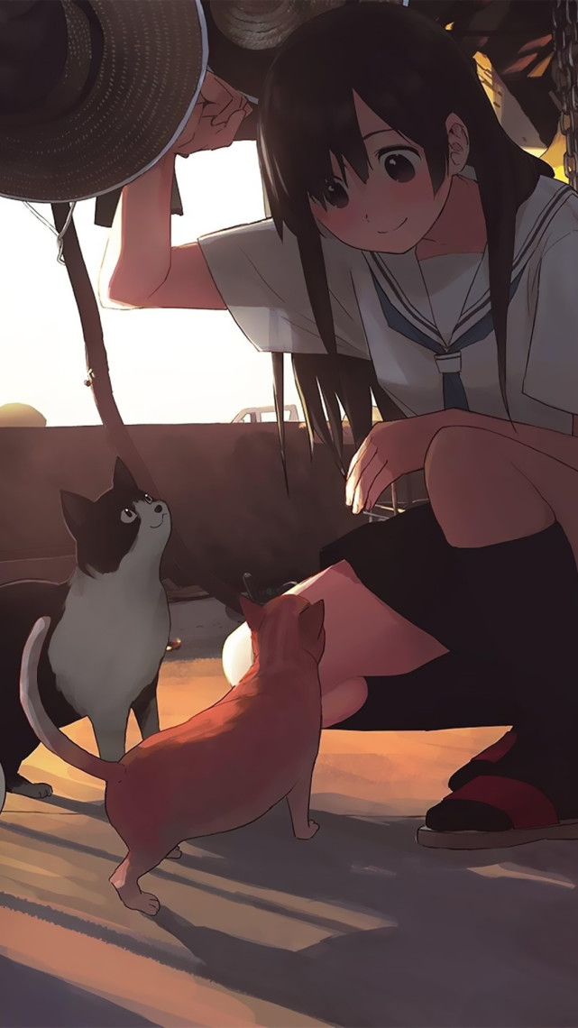 高清二次元手机壁纸:猫咪的陪伴