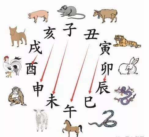 十二生肖蛇的来历蛇在中国我文化中的地位其来历比龙还早
