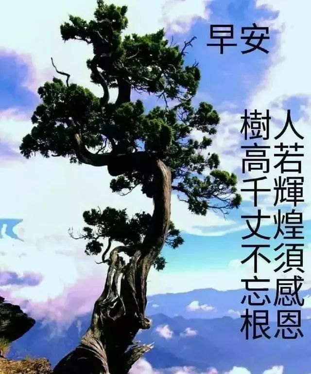 周末最漂亮早上好动态图片带字祝福 大家早安吉祥快乐