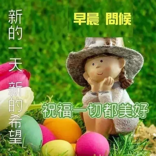 星期日最新的早上好问候语温馨句子 周末阳光祝福语