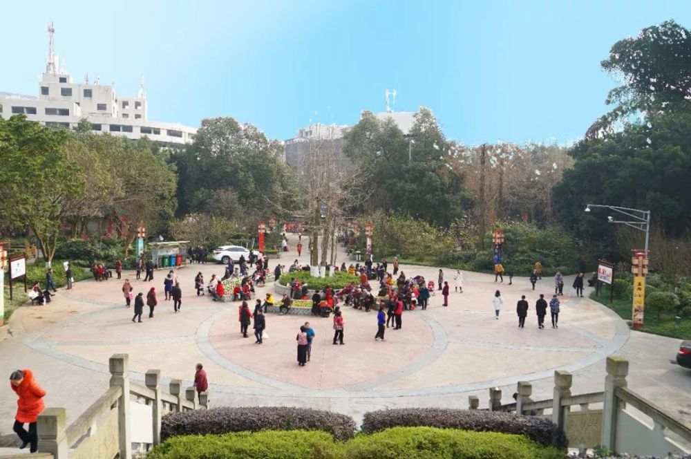 海棠广场 编织在光影交错的故事里