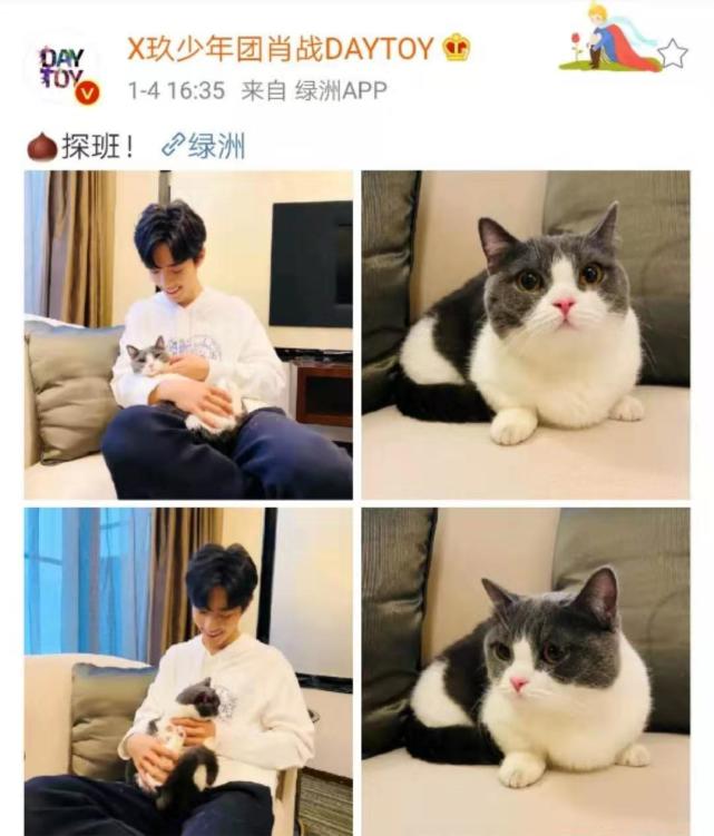 而且细心的网友在照片中发现坚果掉毛都蹭在了肖战的裤子上,但是肖战