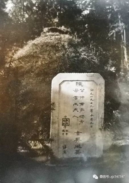 左一为邓燮康,墓碑左侧四为陈妻潘兰珍.