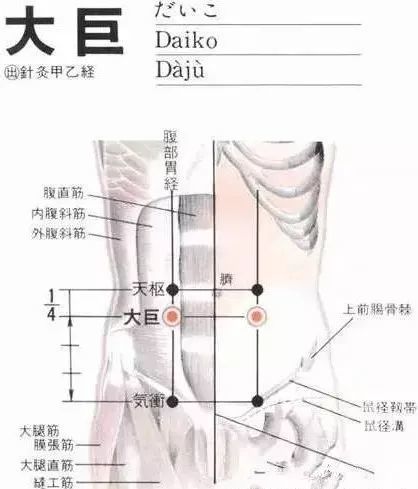 d大巨穴小腹胀满小便不利疝气