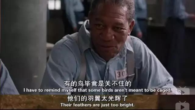 尽管在当年,被如日中天的《阿甘正传》掩盖了它的光彩,而随着时间的