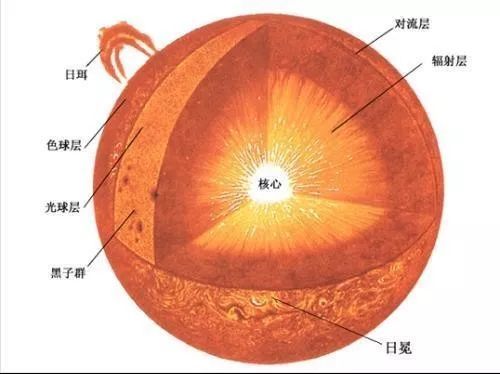 西红柿什么时候传入中国（口感最好的西红柿品种）