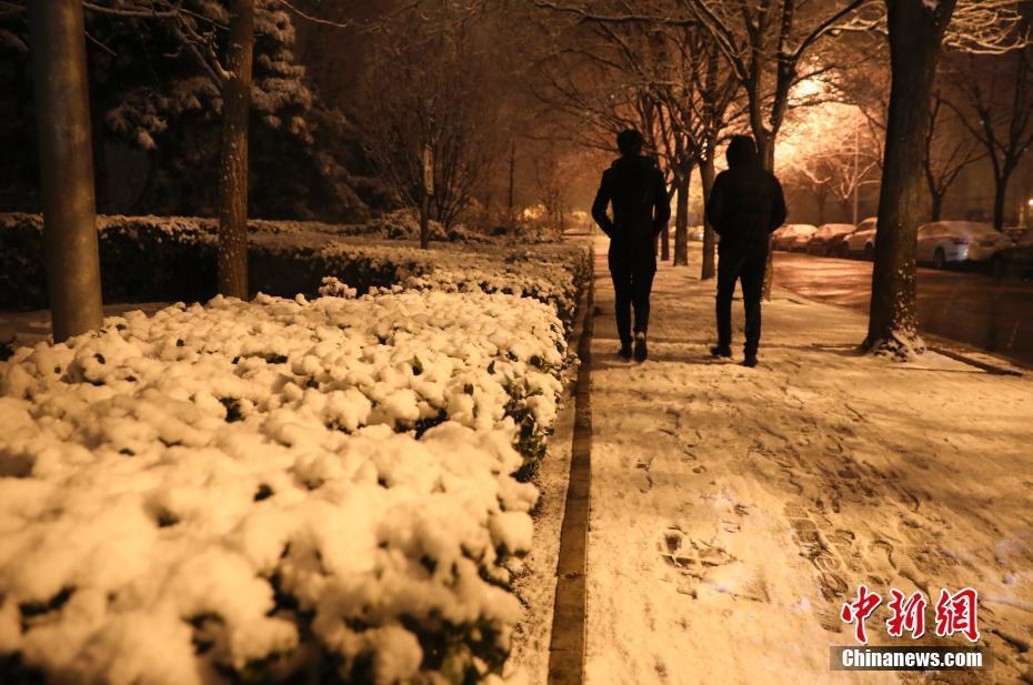 2020年北京第一场雪 市民街头拍摄雪后美景