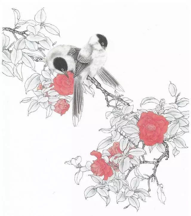 工笔画茶花画法及茶花白描画谱