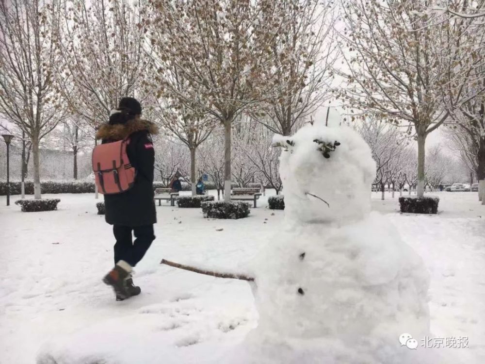 雪下得最大的果然是朋友圈!京城已变身"雪国"