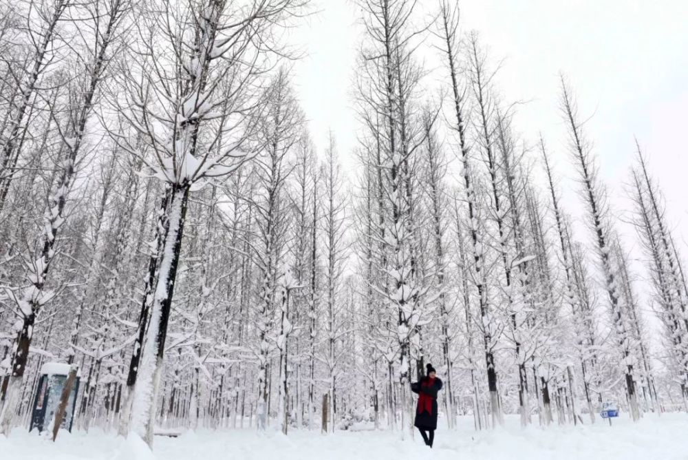 雪映小寒，年已不远