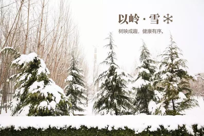 夏日之蝉翼雪我喜欢你,是神秘的一起去看以岭园区内美景万千雪落天地