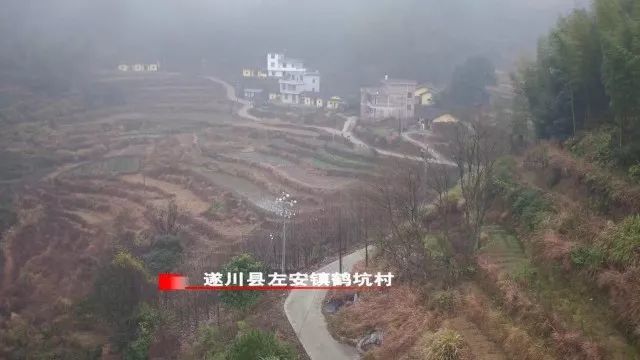 偏远的遂川县左安镇鹤坑村迎来了大喜事