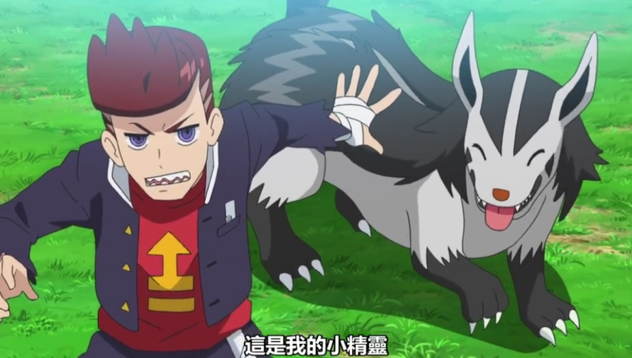 大狼犬